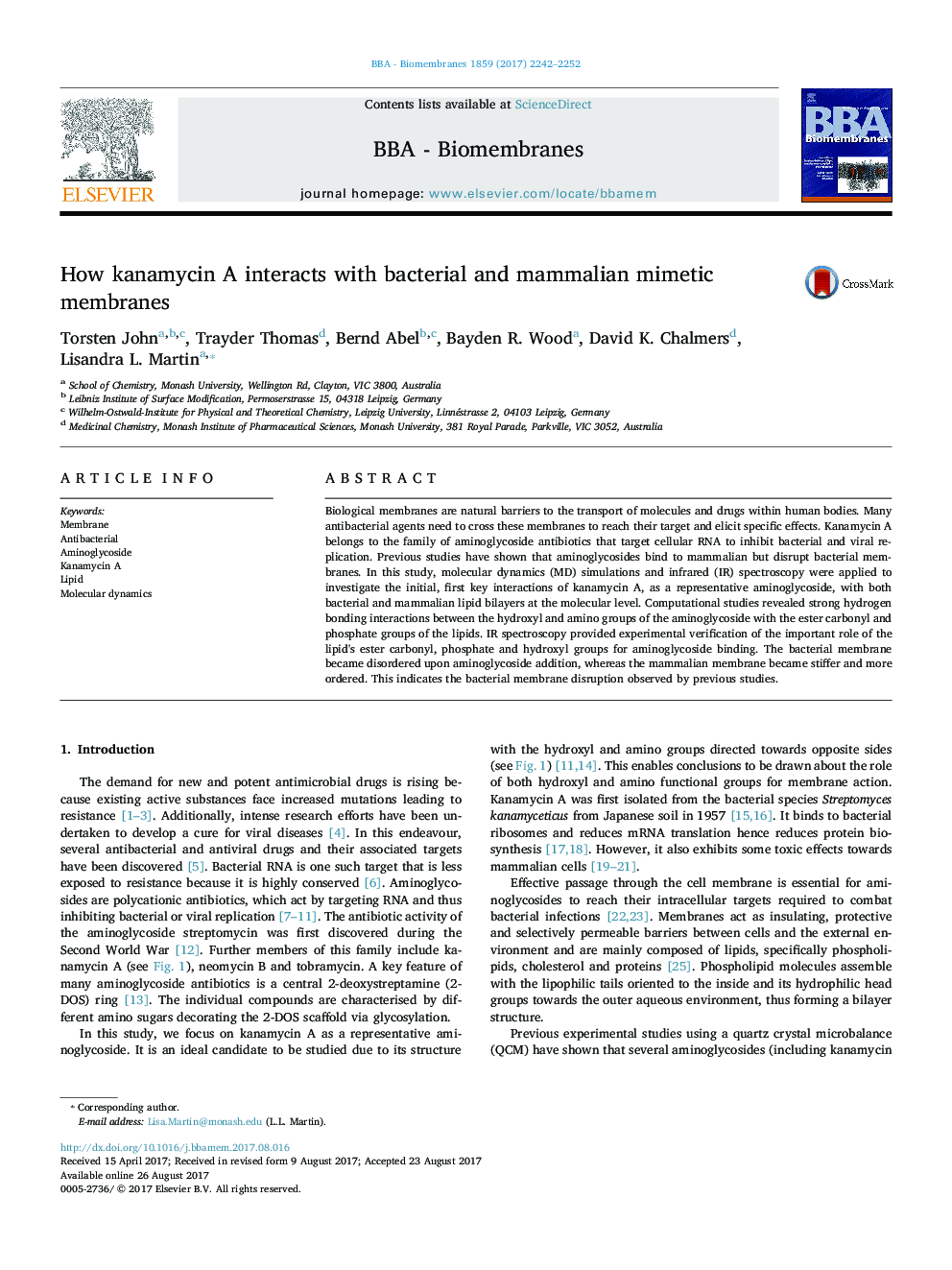 How kanamycin A interacts with bacterial and mammalian mimetic membranes