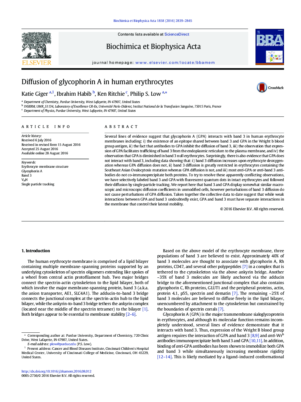 Diffusion of glycophorin A in human erythrocytes