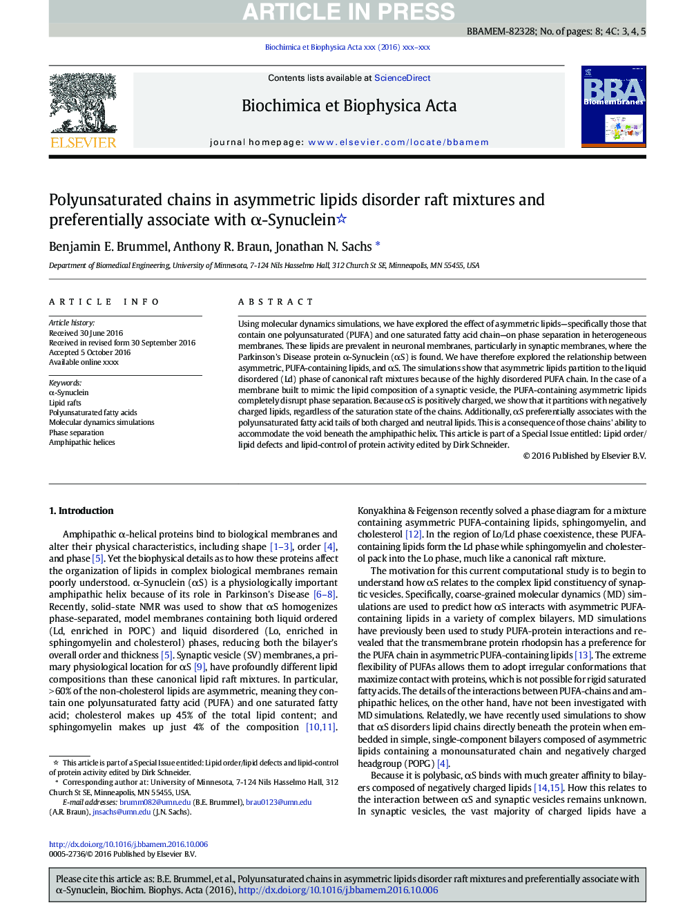 Polyunsaturated chains in asymmetric lipids disorder raft mixtures and preferentially associate with Î±-Synuclein