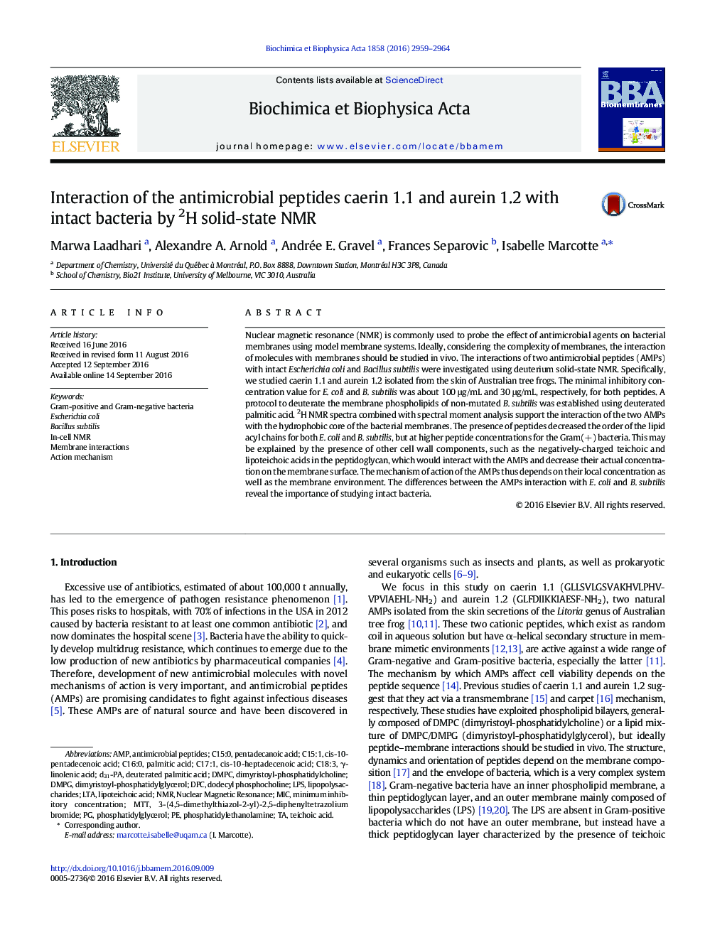 Interaction of the antimicrobial peptides caerin 1.1 and aurein 1.2 with intact bacteria by 2H solid-state NMR