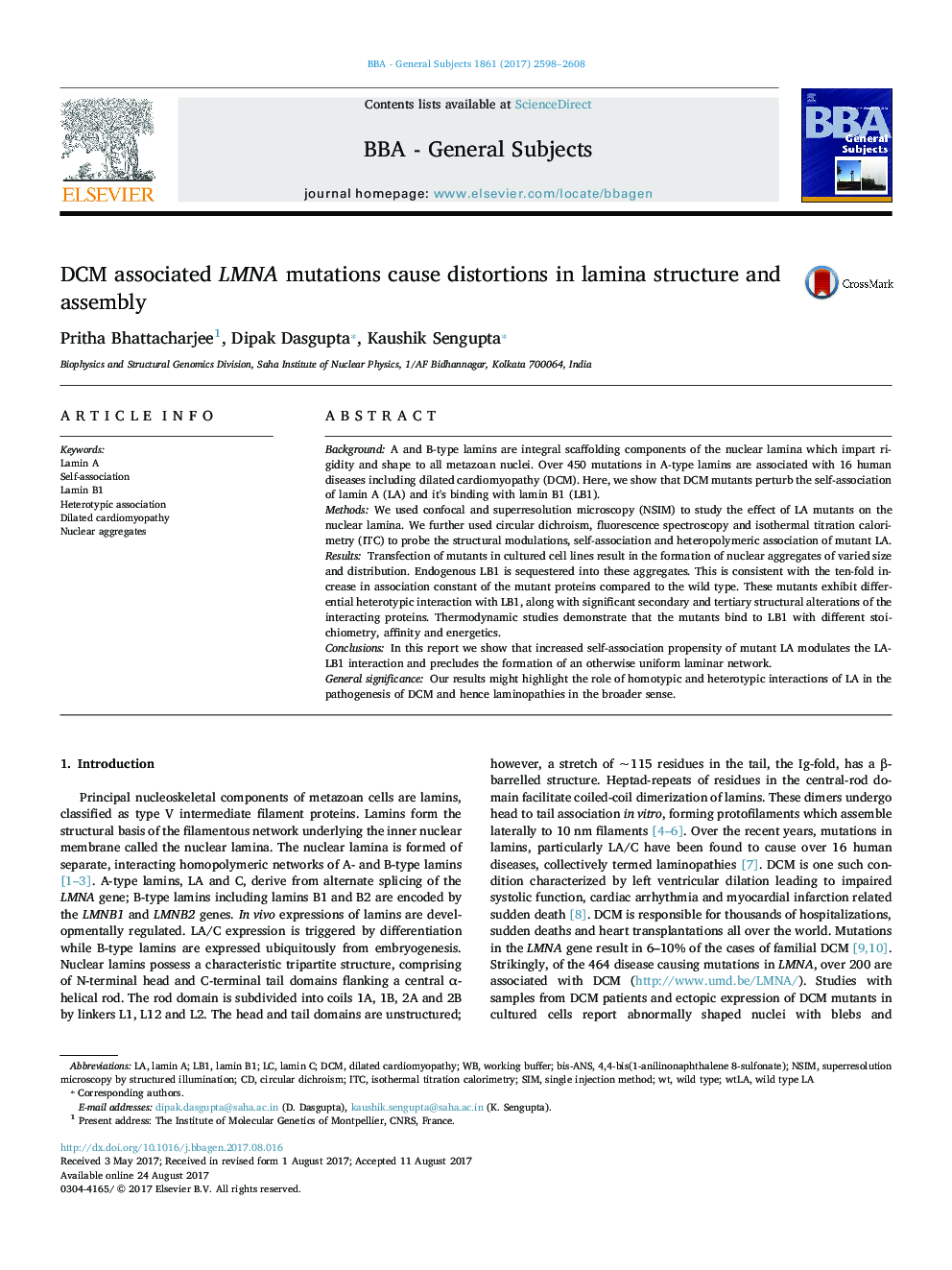 DCM associated LMNA mutations cause distortions in lamina structure and assembly