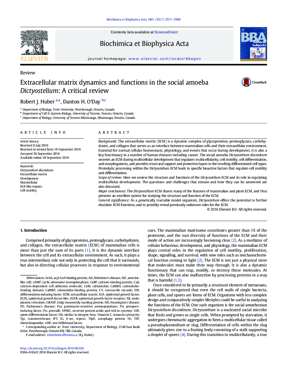 Extracellular matrix dynamics and functions in the social amoeba Dictyostelium: A critical review