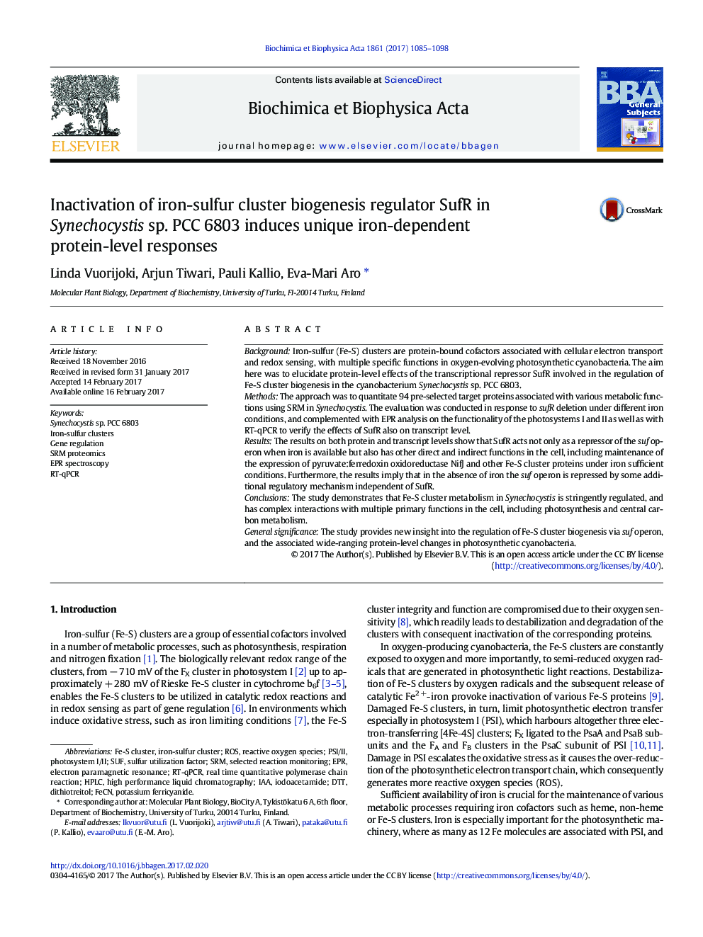 Inactivation of iron-sulfur cluster biogenesis regulator SufR in Synechocystis sp. PCC 6803 induces unique iron-dependent protein-level responses