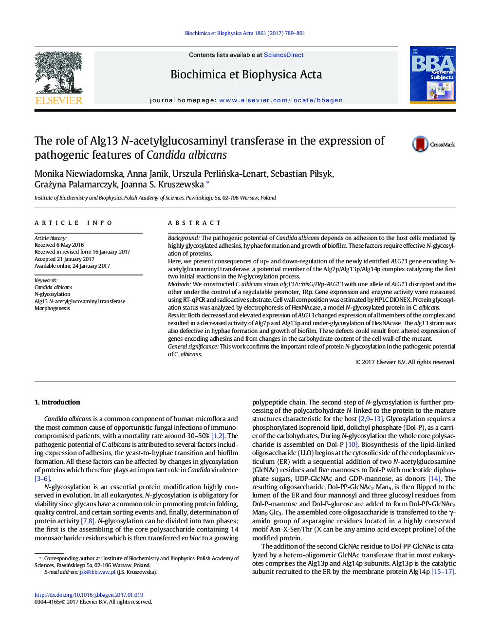 The role of Alg13 N-acetylglucosaminyl transferase in the expression of pathogenic features of Candida albicans