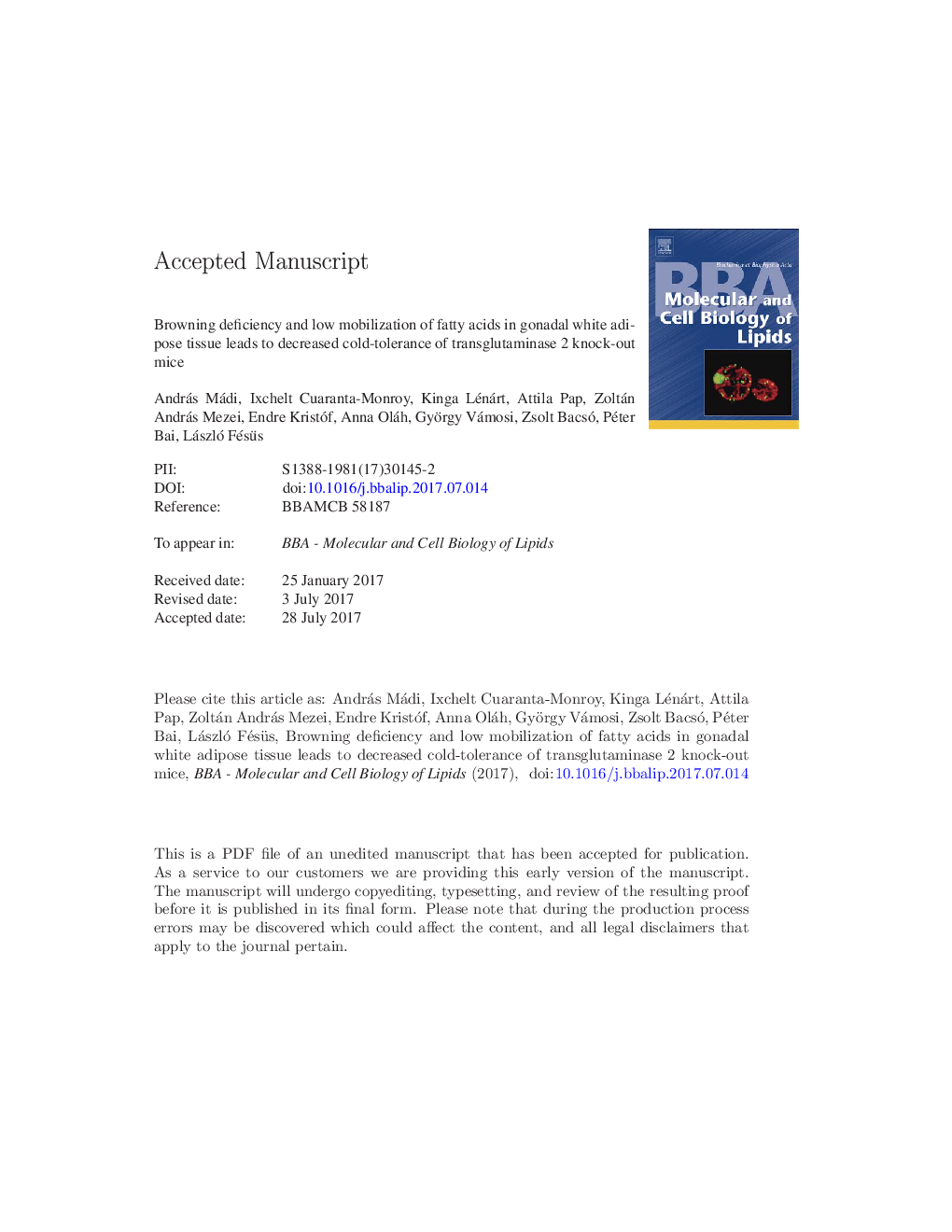 Browning deficiency and low mobilization of fatty acids in gonadal white adipose tissue leads to decreased cold-tolerance of transglutaminase 2 knock-out mice