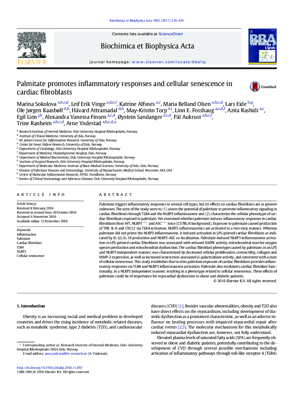 Palmitate promotes inflammatory responses and cellular senescence in cardiac fibroblasts