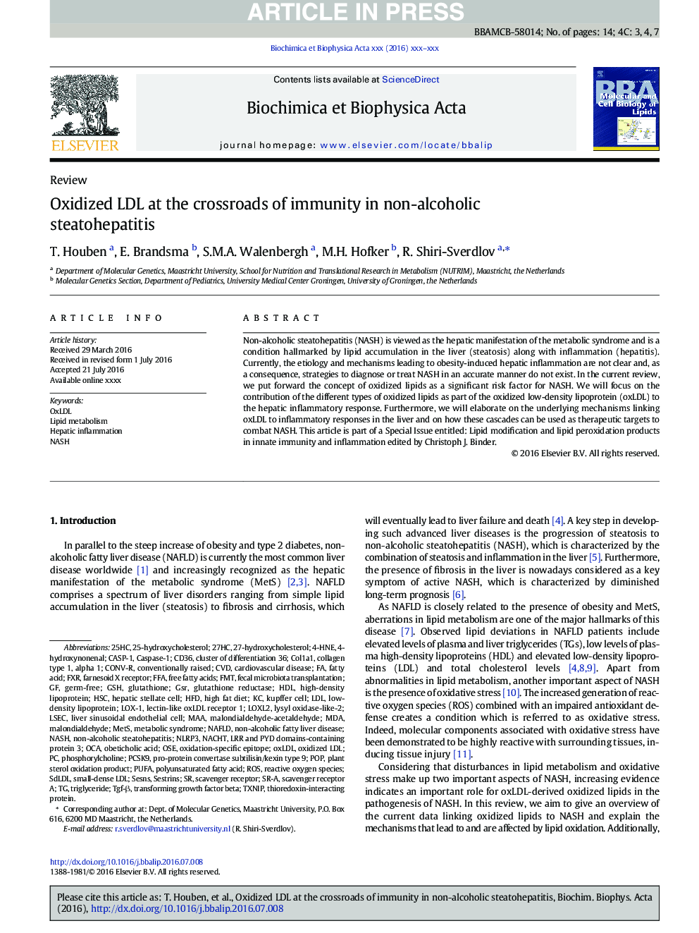 Oxidized LDL at the crossroads of immunity in non-alcoholic steatohepatitis