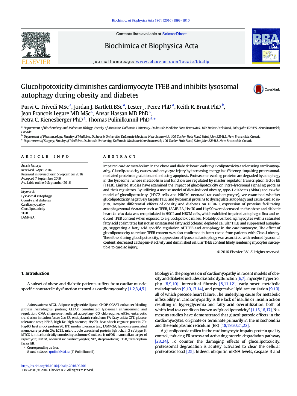 Glucolipotoxicity diminishes cardiomyocyte TFEB and inhibits lysosomal autophagy during obesity and diabetes