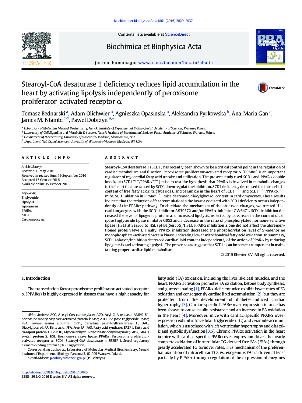 Stearoyl-CoA desaturase 1 deficiency reduces lipid accumulation in the heart by activating lipolysis independently of peroxisome proliferator-activated receptor Î±