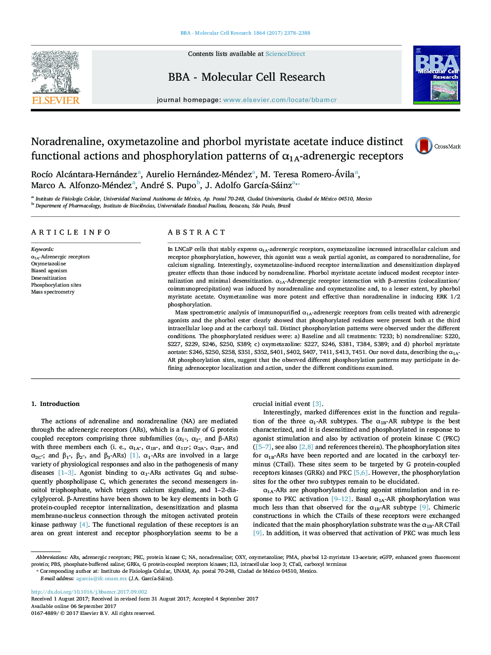 Noradrenaline, oxymetazoline and phorbol myristate acetate induce distinct functional actions and phosphorylation patterns of Î±1A-adrenergic receptors