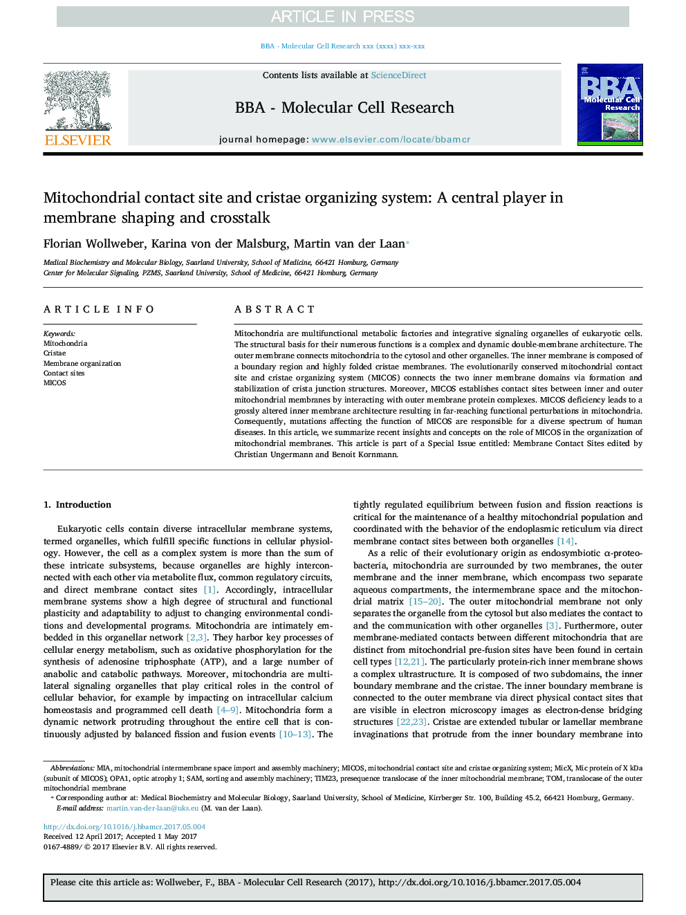 Mitochondrial contact site and cristae organizing system: A central player in membrane shaping and crosstalk