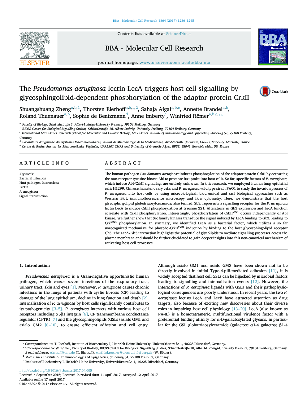 The Pseudomonas aeruginosa lectin LecA triggers host cell signalling by glycosphingolipid-dependent phosphorylation of the adaptor protein CrkII