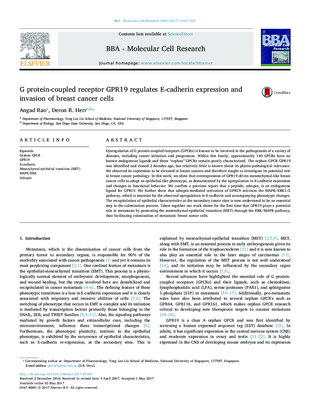 G protein-coupled receptor GPR19 regulates E-cadherin expression and invasion of breast cancer cells