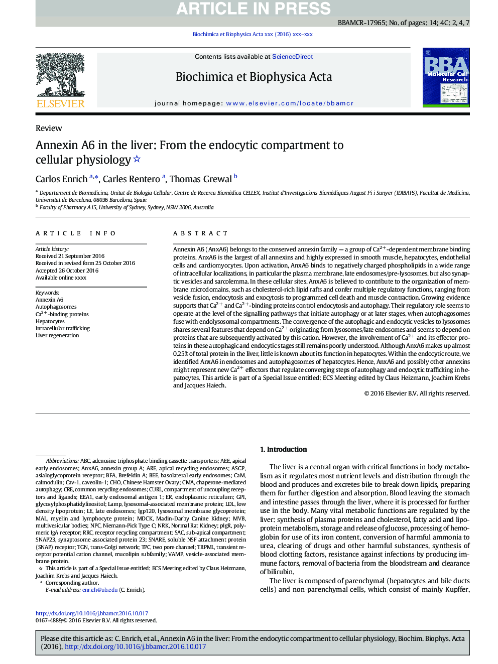 Annexin A6 in the liver: From the endocytic compartment to cellular physiology