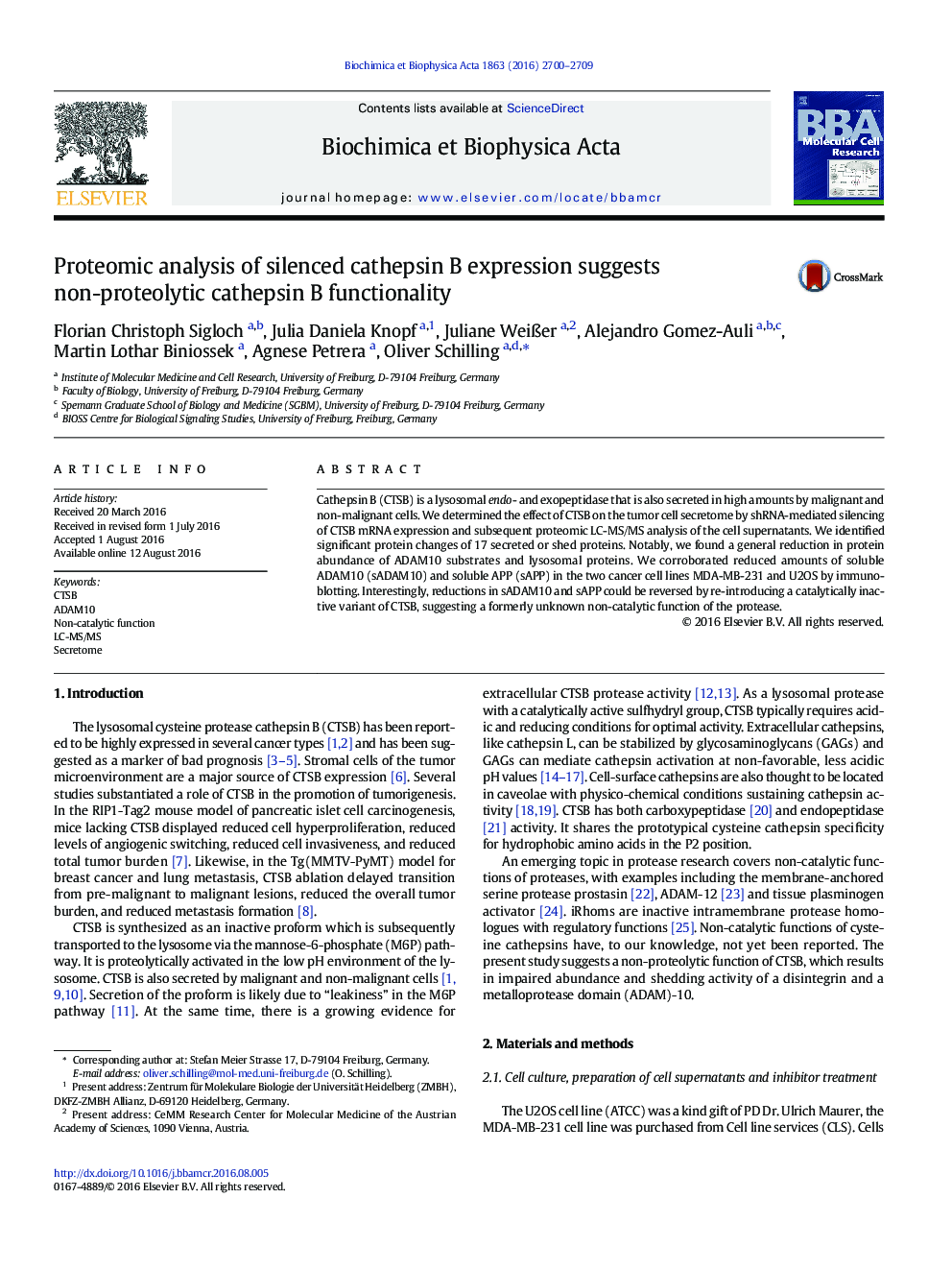 Proteomic analysis of silenced cathepsin B expression suggests non-proteolytic cathepsin B functionality