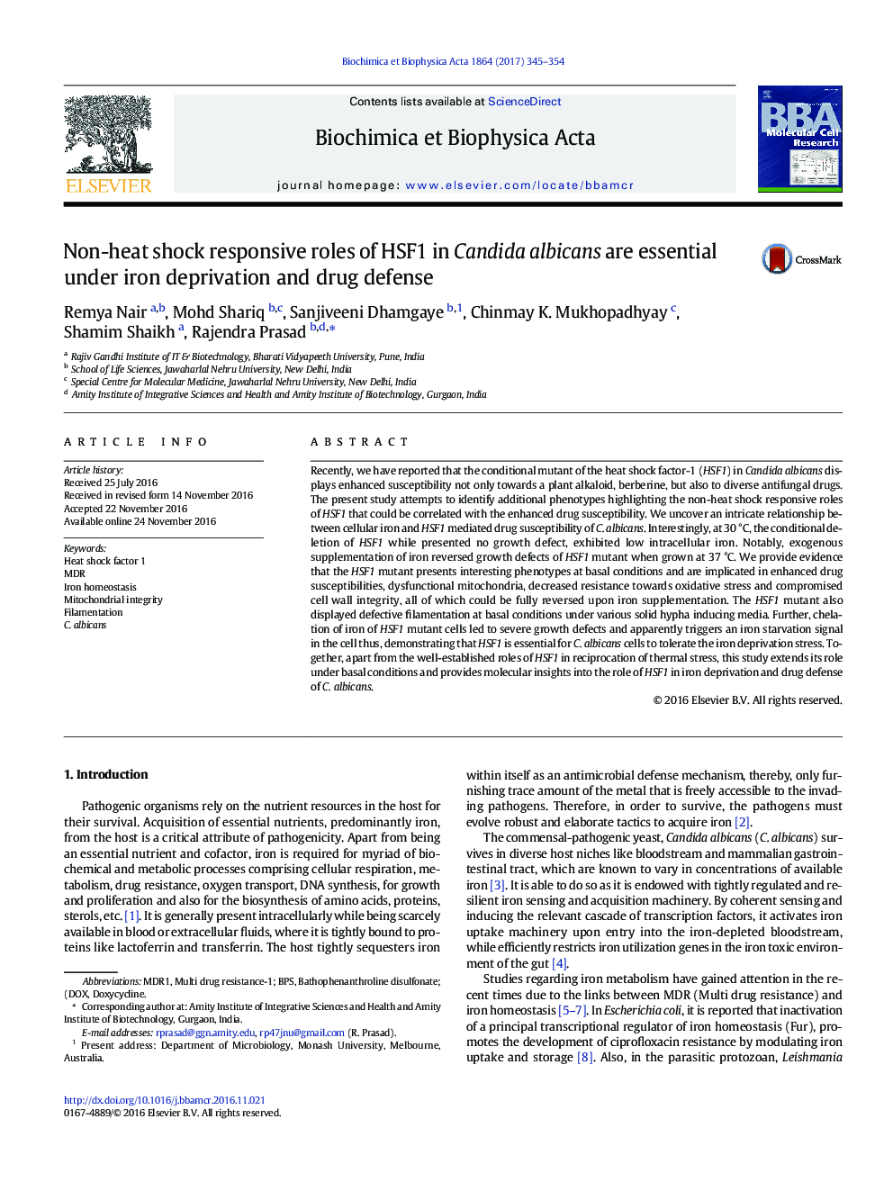 Non-heat shock responsive roles of HSF1 in Candida albicans are essential under iron deprivation and drug defense