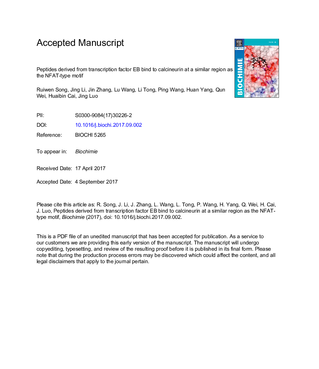 Peptides derived from transcription factor EB bind to calcineurin at a similar region as the NFAT-type motif