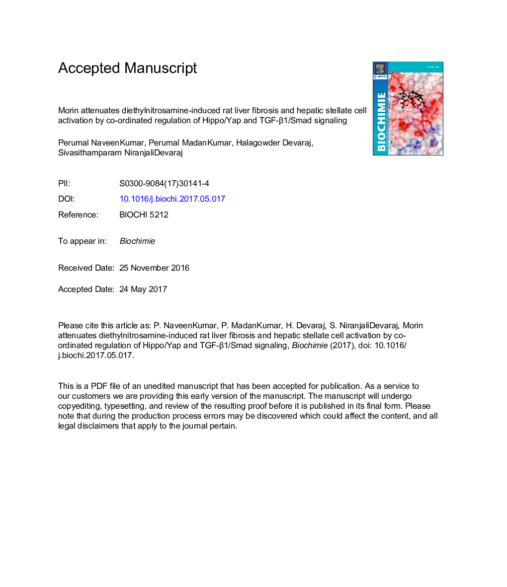 Morin attenuates diethylnitrosamine-induced rat liver fibrosis and hepatic stellate cell activation by co-ordinated regulation of Hippo/Yap and TGF-Î²1/Smad signaling