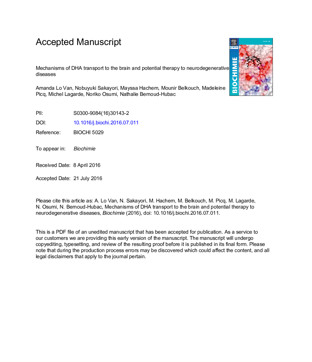 Mechanisms of DHA transport to the brain and potential therapy to neurodegenerative diseases