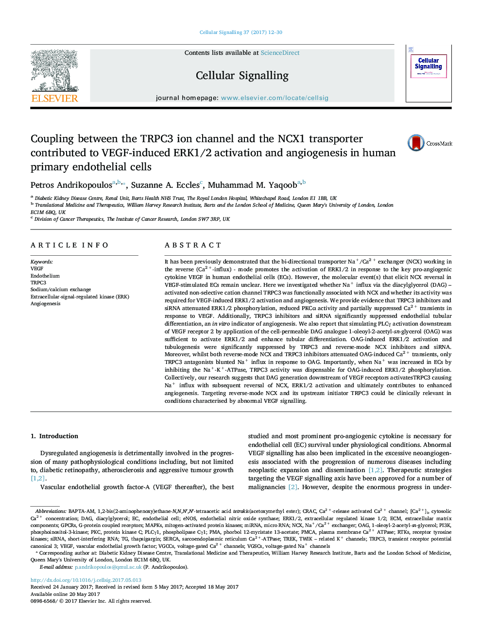 Coupling between the TRPC3 ion channel and the NCX1 transporter contributed to VEGF-induced ERK1/2 activation and angiogenesis in human primary endothelial cells