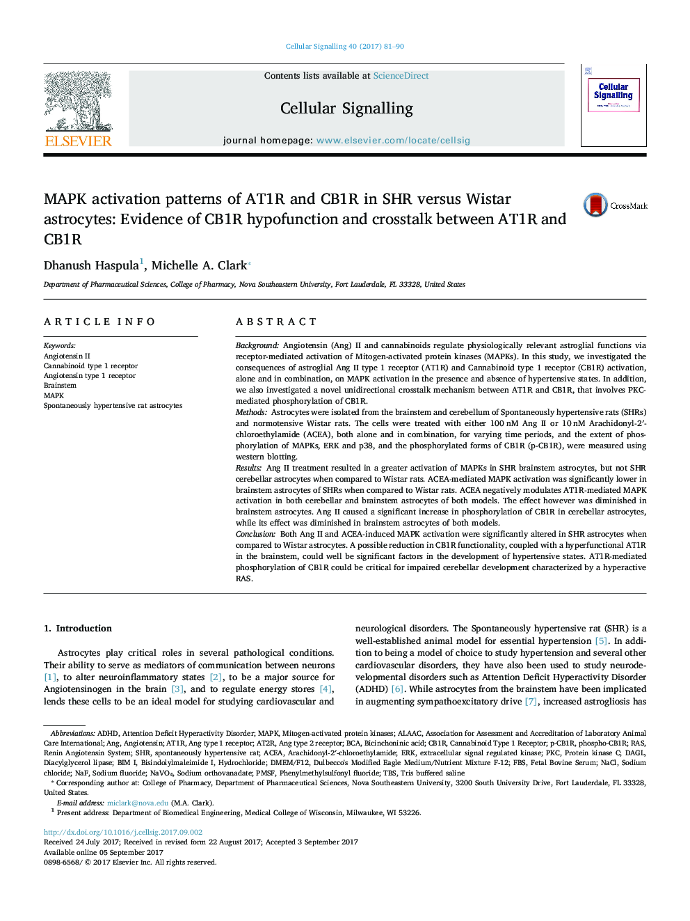 MAPK activation patterns of AT1R and CB1R in SHR versus Wistar astrocytes: Evidence of CB1R hypofunction and crosstalk between AT1R and CB1R
