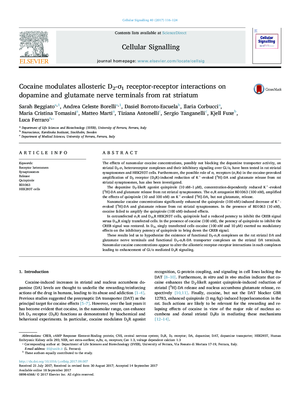 Cocaine modulates allosteric D2-Ï1 receptor-receptor interactions on dopamine and glutamate nerve terminals from rat striatum