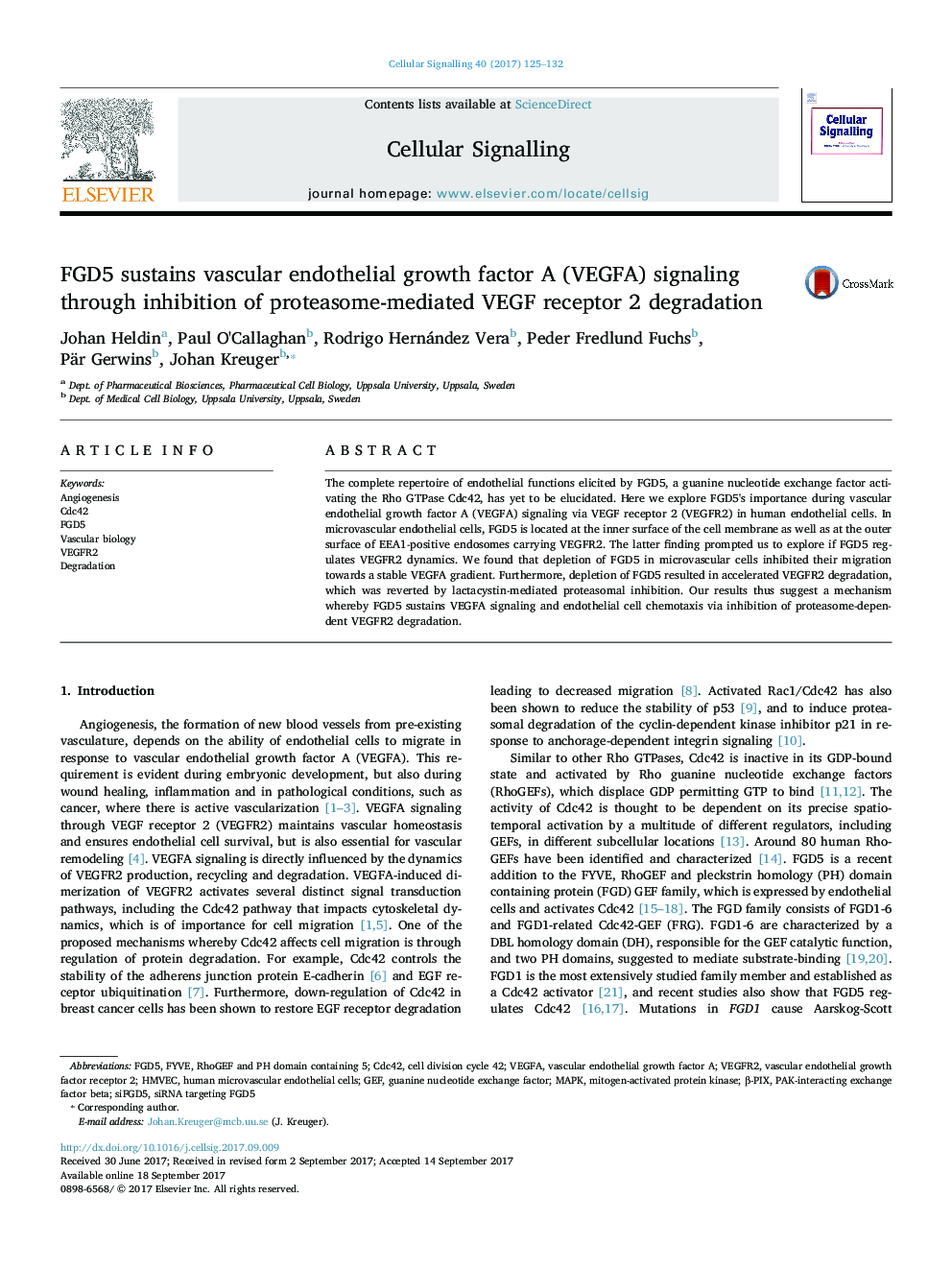 FGD5 sustains vascular endothelial growth factor A (VEGFA) signaling through inhibition of proteasome-mediated VEGF receptor 2 degradation