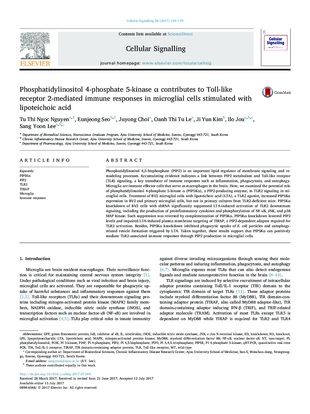 Phosphatidylinositol 4-phosphate 5-kinase Î± contributes to Toll-like receptor 2-mediated immune responses in microglial cells stimulated with lipoteichoic acid