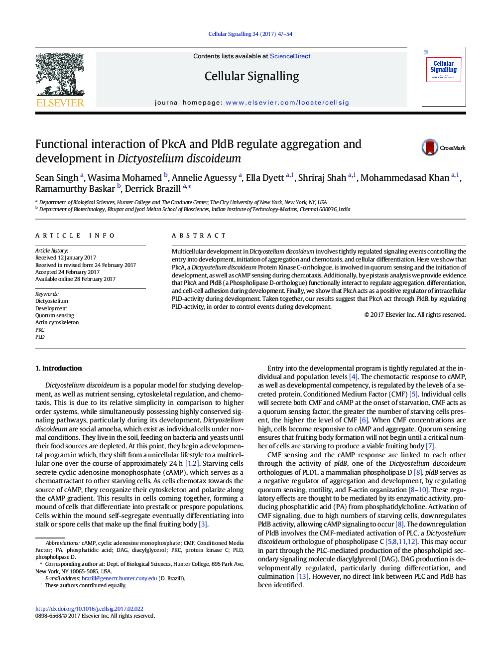 Functional interaction of PkcA and PldB regulate aggregation and development in Dictyostelium discoideum