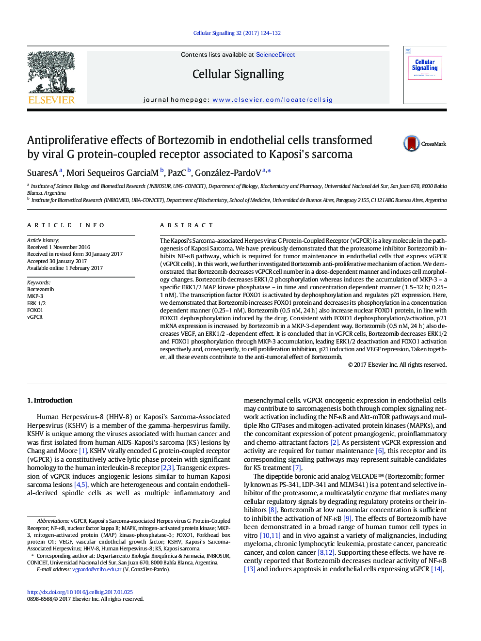 Antiproliferative effects of Bortezomib in endothelial cells transformed by viral G protein-coupled receptor associated to Kaposi's sarcoma