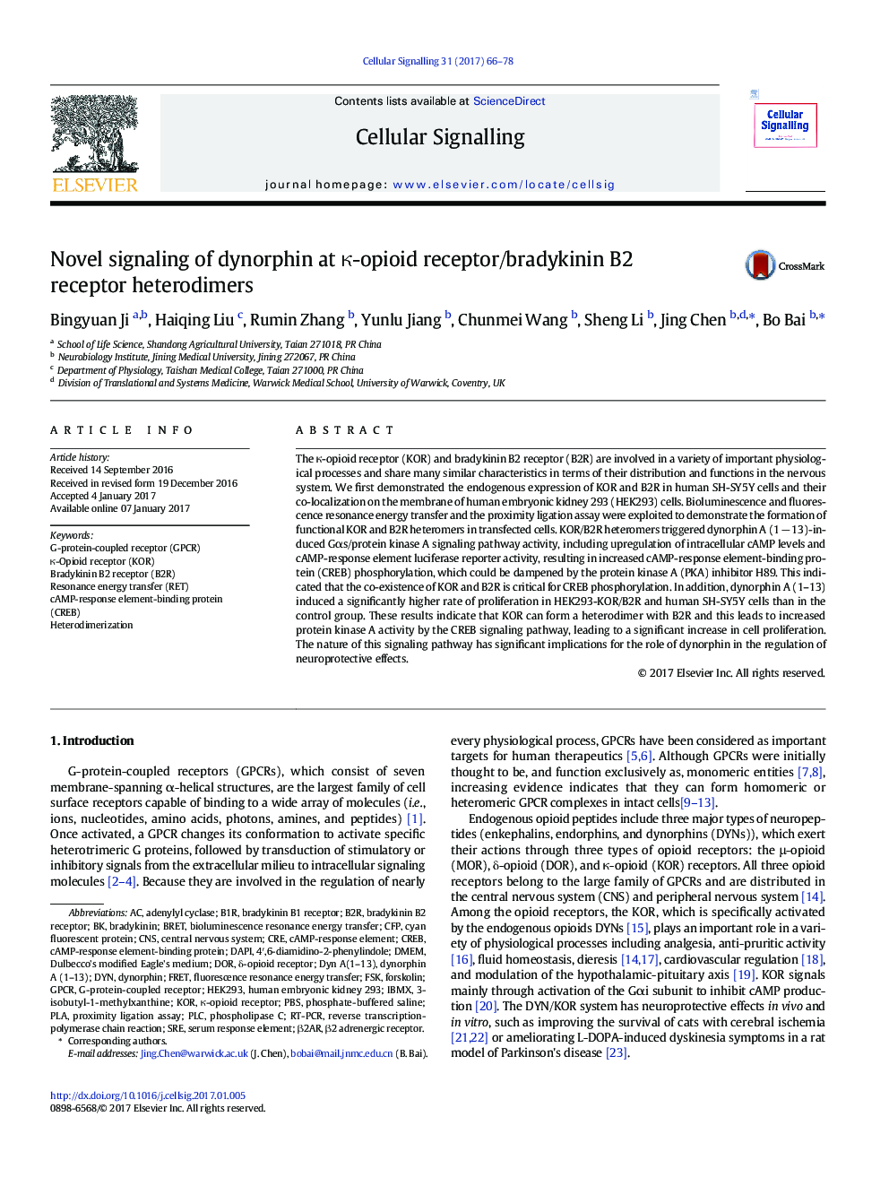 Novel signaling of dynorphin at Îº-opioid receptor/bradykinin B2 receptor heterodimers