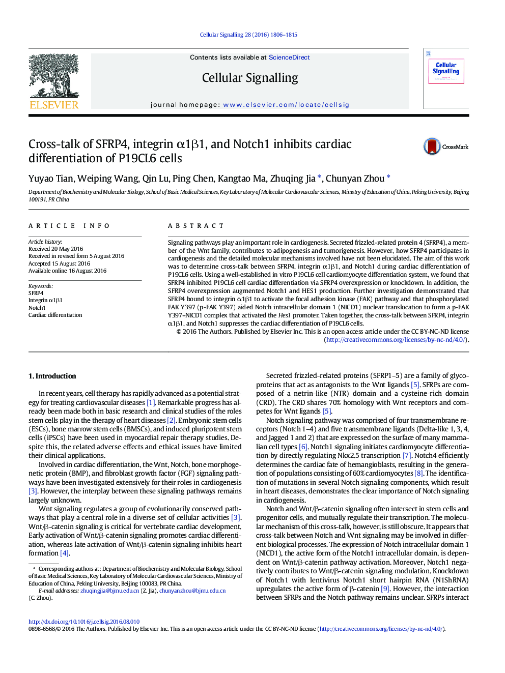 Cross-talk of SFRP4, integrin Î±1Î²1, and Notch1 inhibits cardiac differentiation of P19CL6 cells