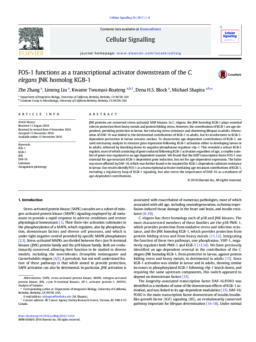 FOS-1 functions as a transcriptional activator downstream of the C. elegans JNK homolog KGB-1