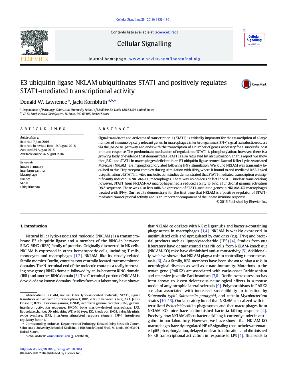 E3 ubiquitin ligase NKLAM ubiquitinates STAT1 and positively regulates STAT1-mediated transcriptional activity