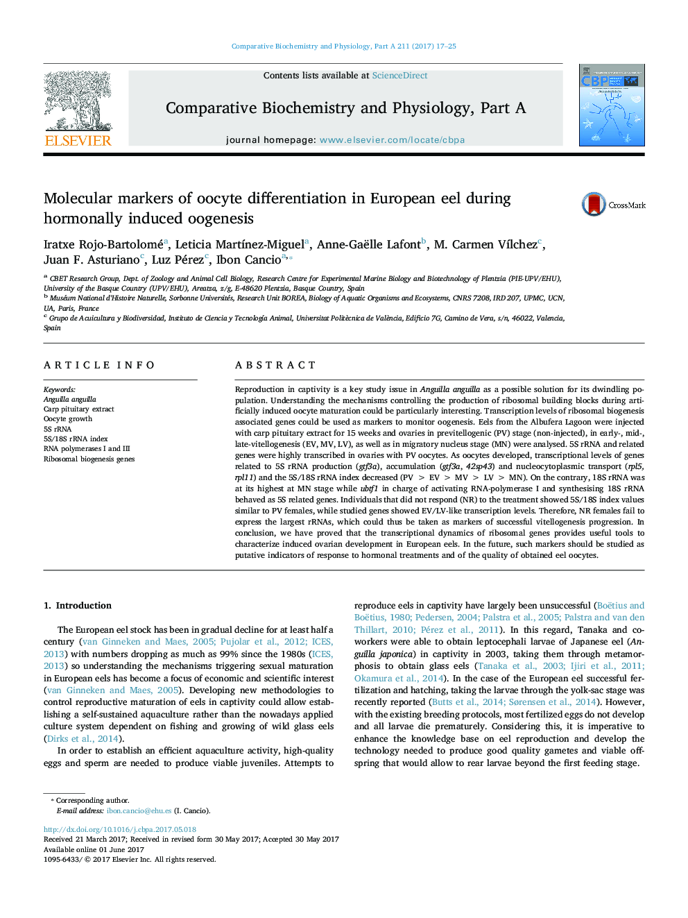 Molecular markers of oocyte differentiation in European eel during hormonally induced oogenesis