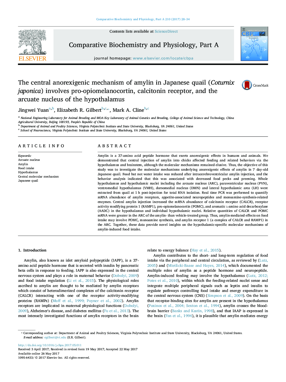 The central anorexigenic mechanism of amylin in Japanese quail (Coturnix japonica) involves pro-opiomelanocortin, calcitonin receptor, and the arcuate nucleus of the hypothalamus