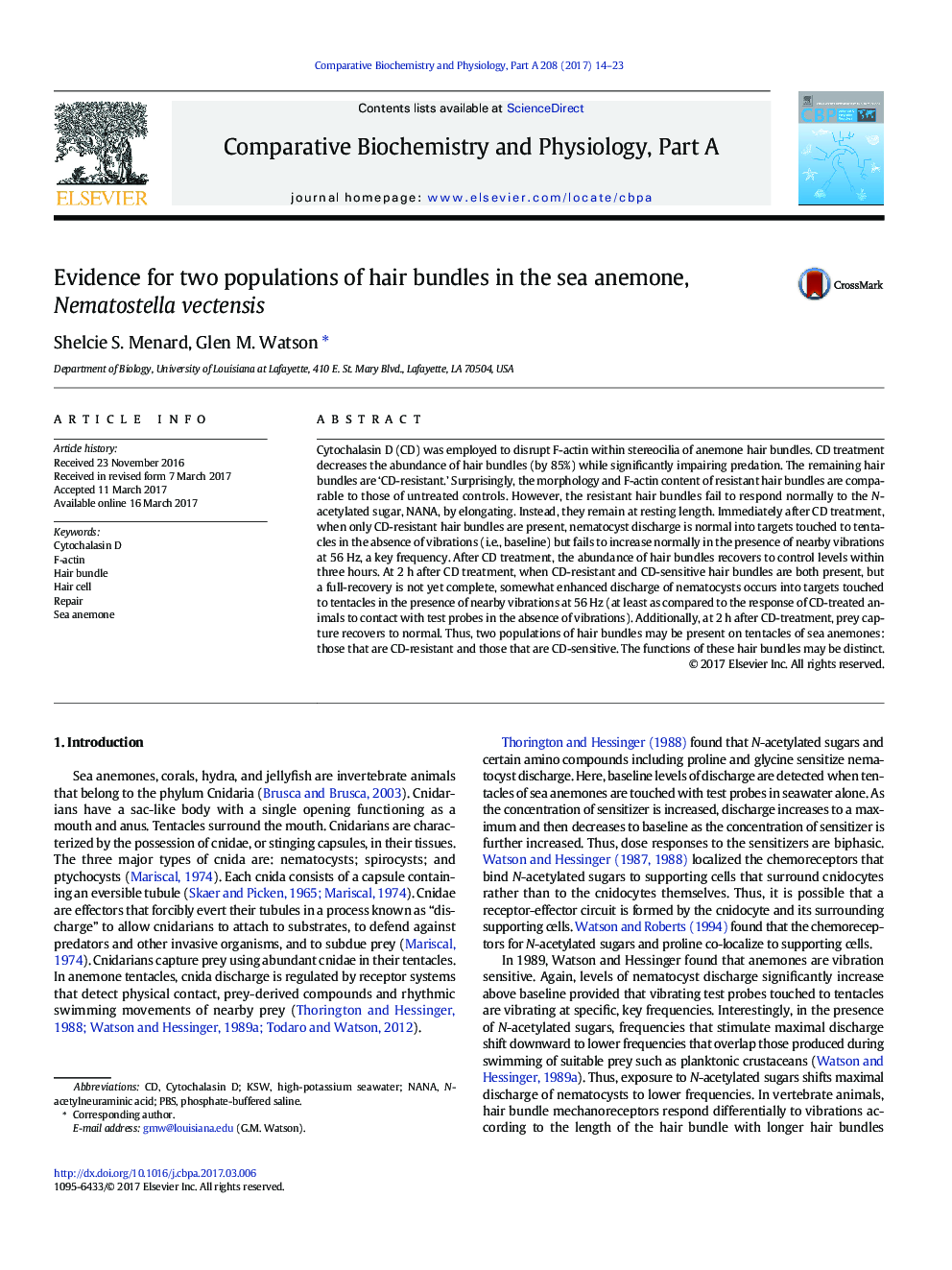 Evidence for two populations of hair bundles in the sea anemone, Nematostella vectensis