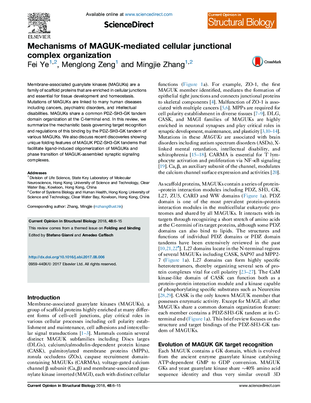 Mechanisms of MAGUK-mediated cellular junctional complex organization