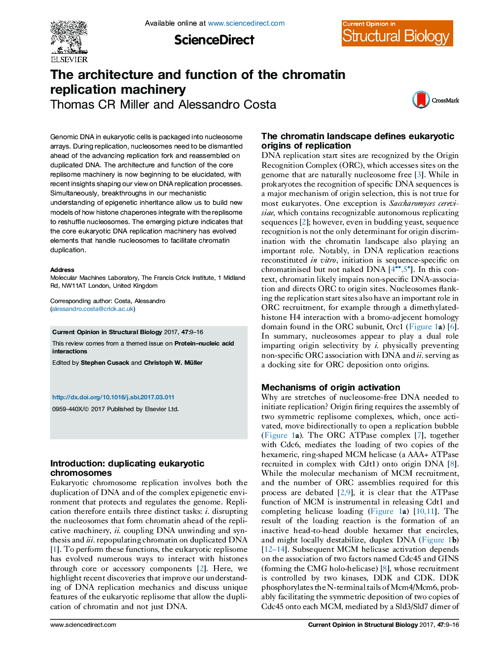 The architecture and function of the chromatin replication machinery