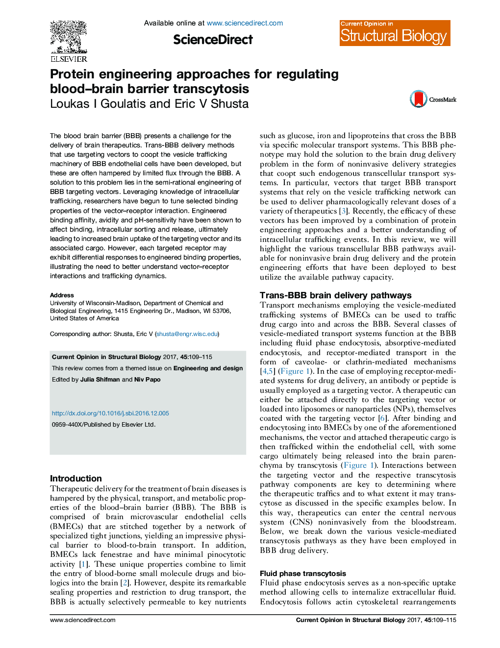 Protein engineering approaches for regulating blood-brain barrier transcytosis