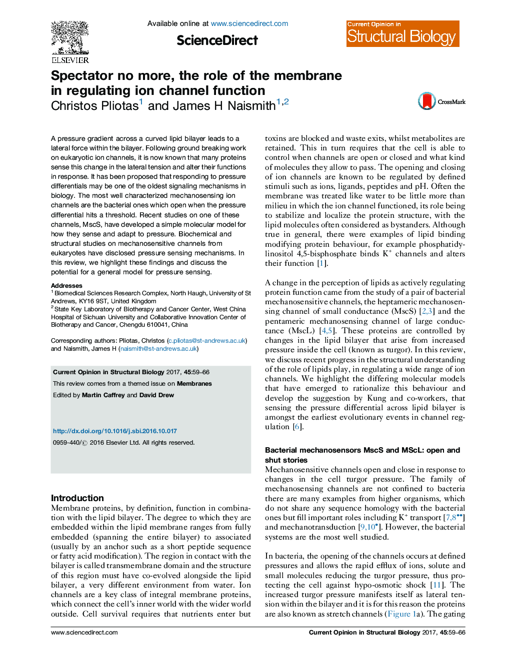 Spectator no more, the role of the membrane in regulating ion channel function