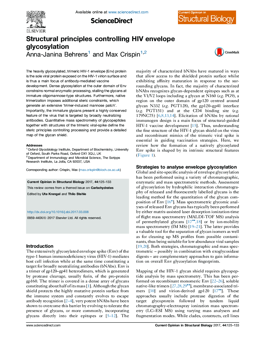 Structural principles controlling HIV envelope glycosylation