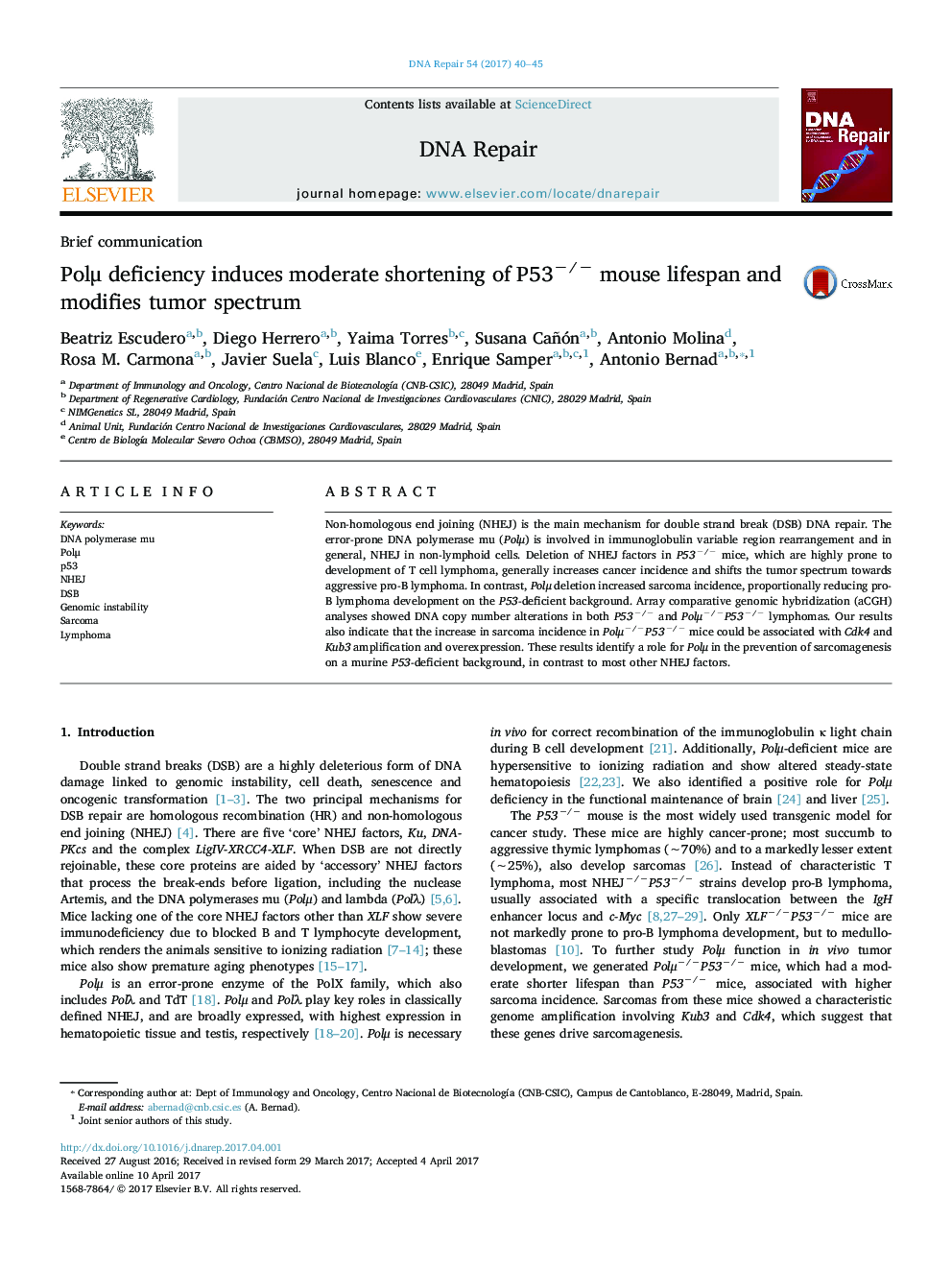 PolÎ¼ deficiency induces moderate shortening of P53â/â mouse lifespan and modifies tumor spectrum