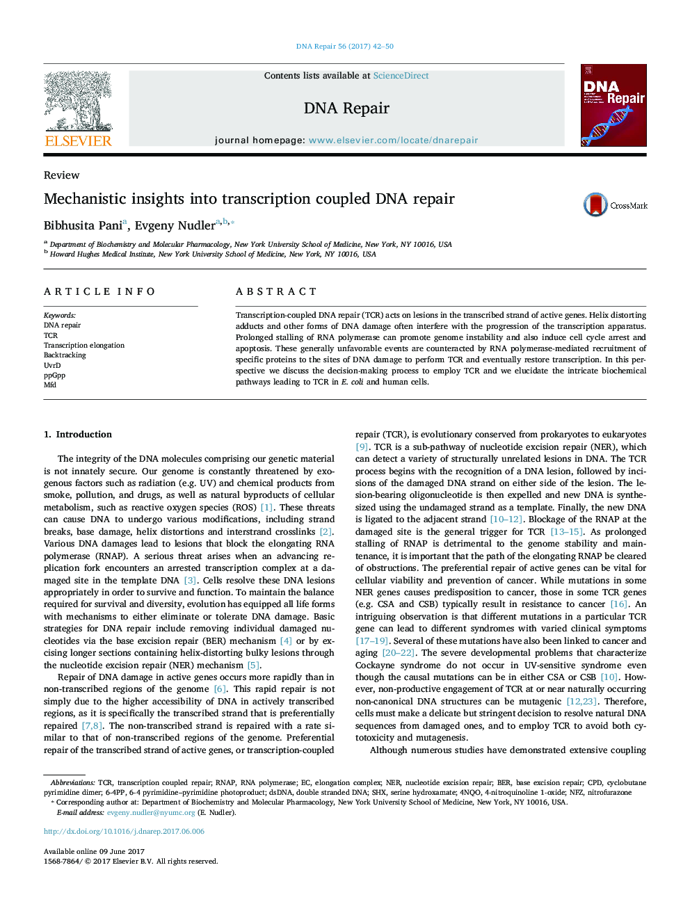 Mechanistic insights into transcription coupled DNA repair