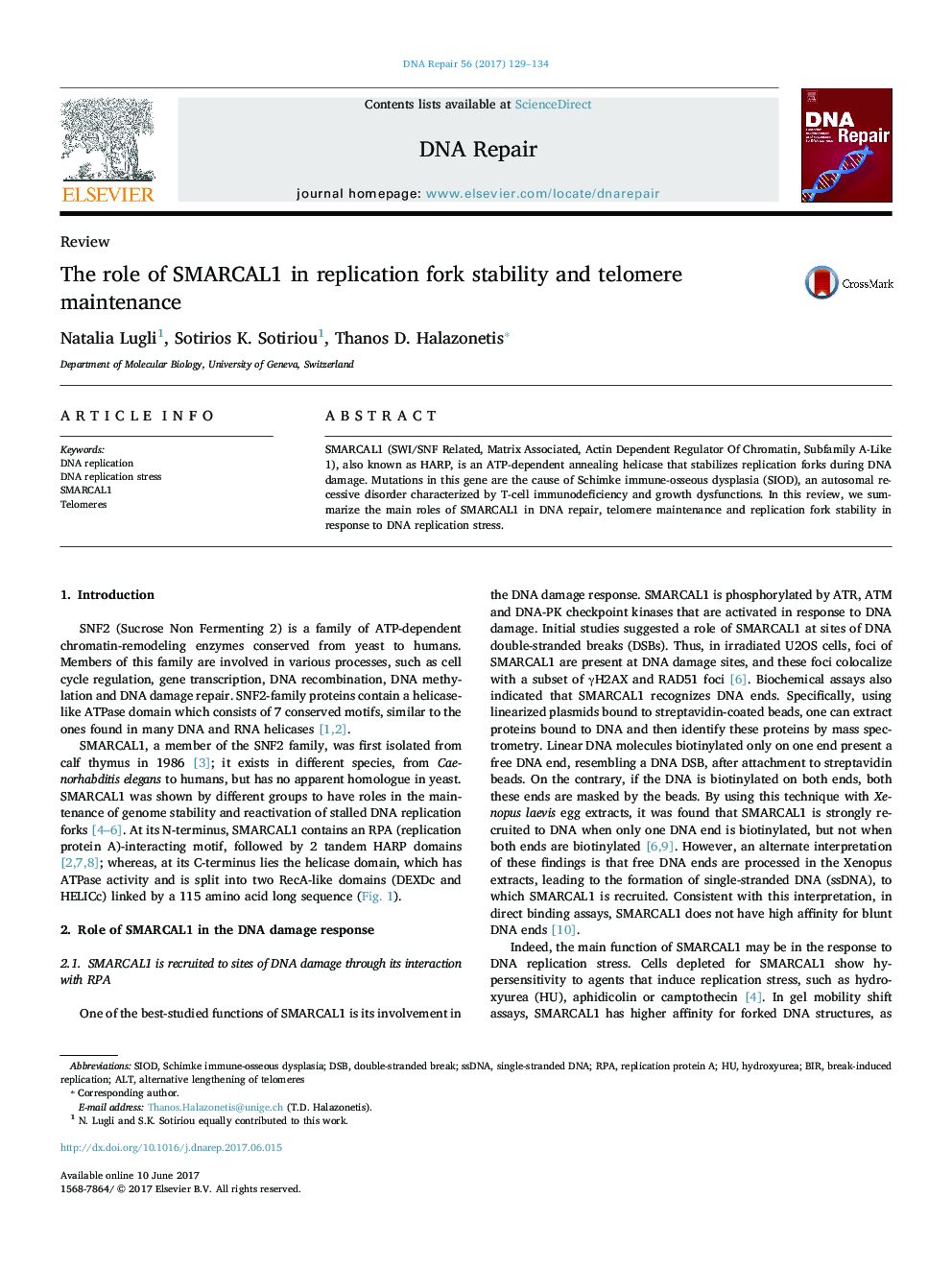 The role of SMARCAL1 in replication fork stability and telomere maintenance