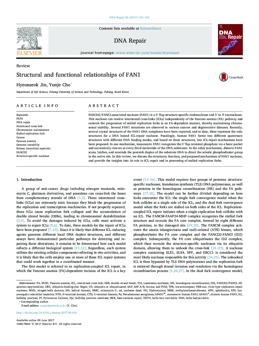 Structural and functional relationships of FAN1