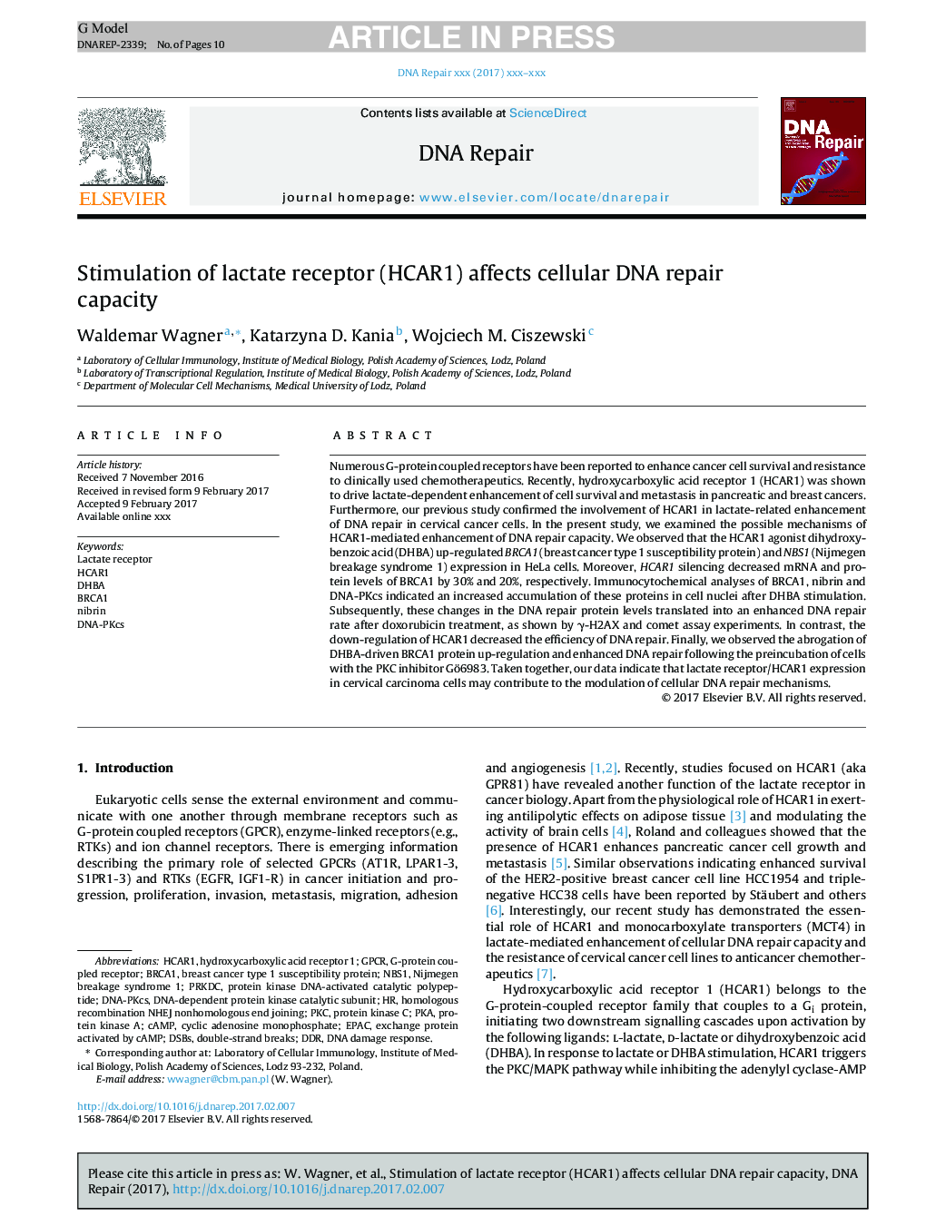 Stimulation of lactate receptor (HCAR1) affects cellular DNA repair capacity