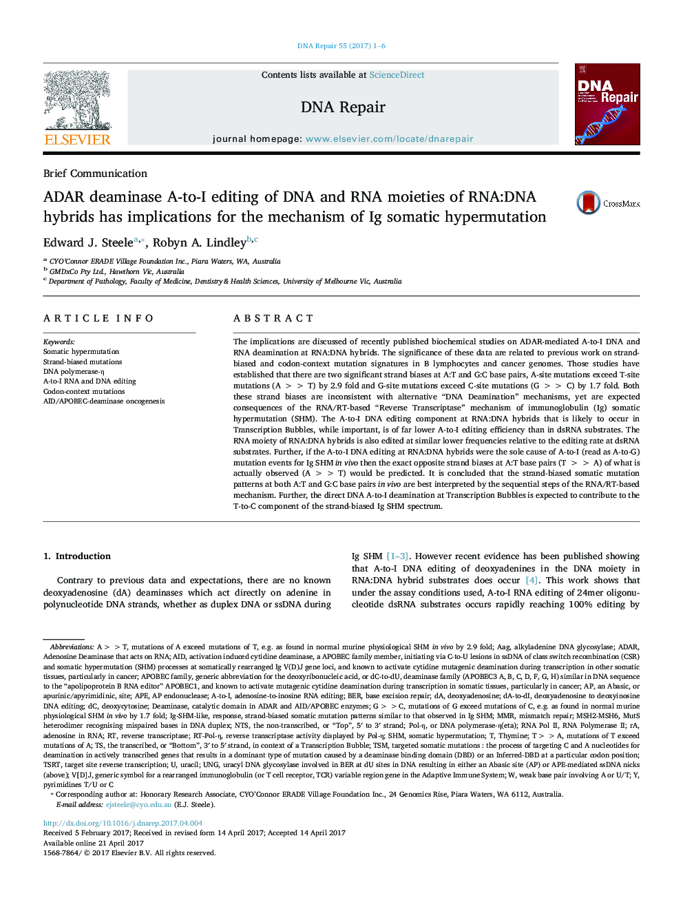 ADAR deaminase A-to-I editing of DNA and RNA moieties of RNA:DNA hybrids has implications for the mechanism of Ig somatic hypermutation