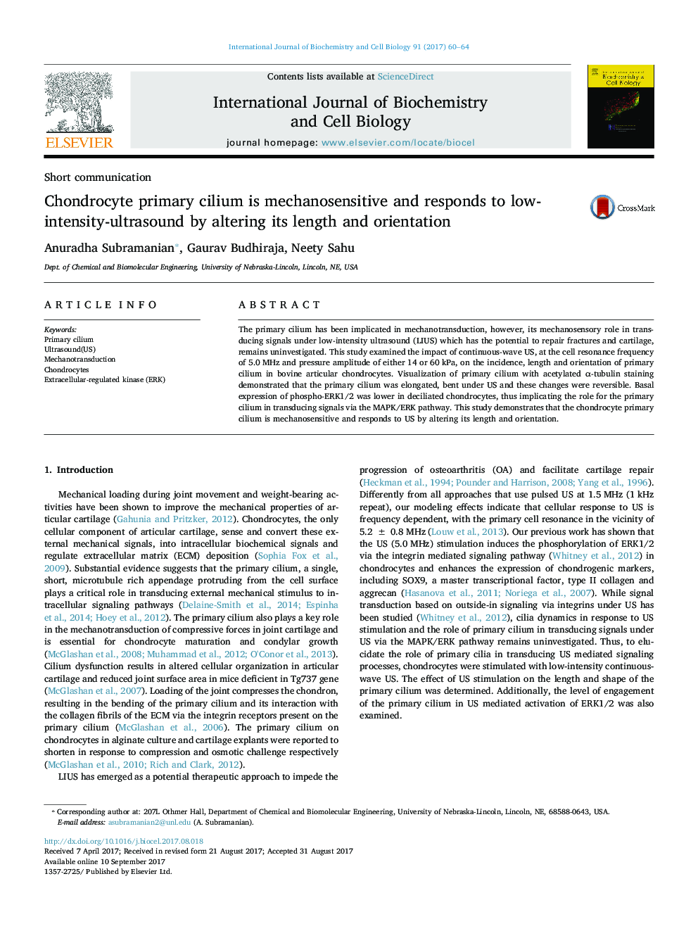 Short communicationChondrocyte primary cilium is mechanosensitive and responds to low-intensity-ultrasound by altering its length and orientation