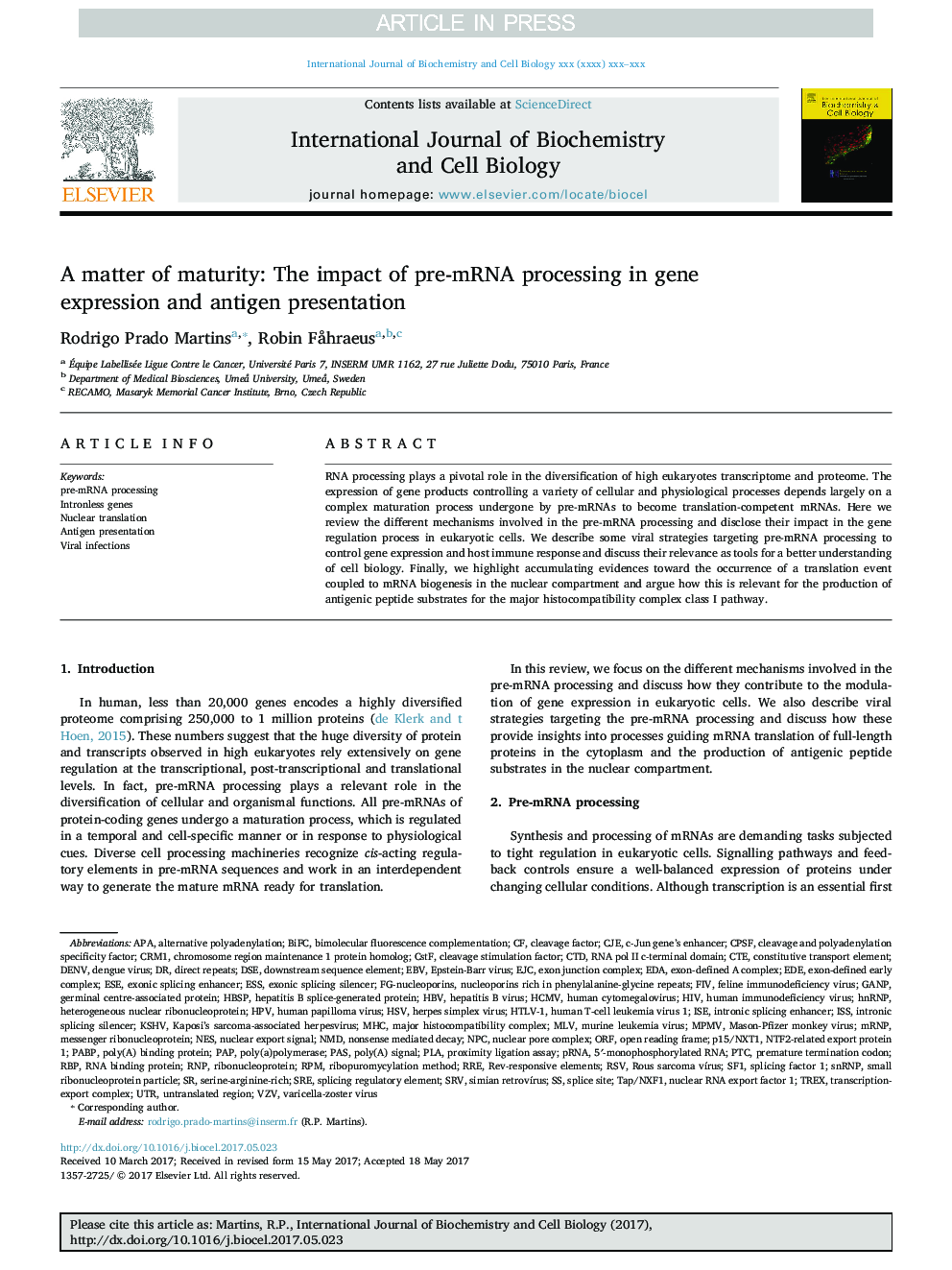 A matter of maturity: The impact of pre-mRNA processing in gene expression and antigen presentation